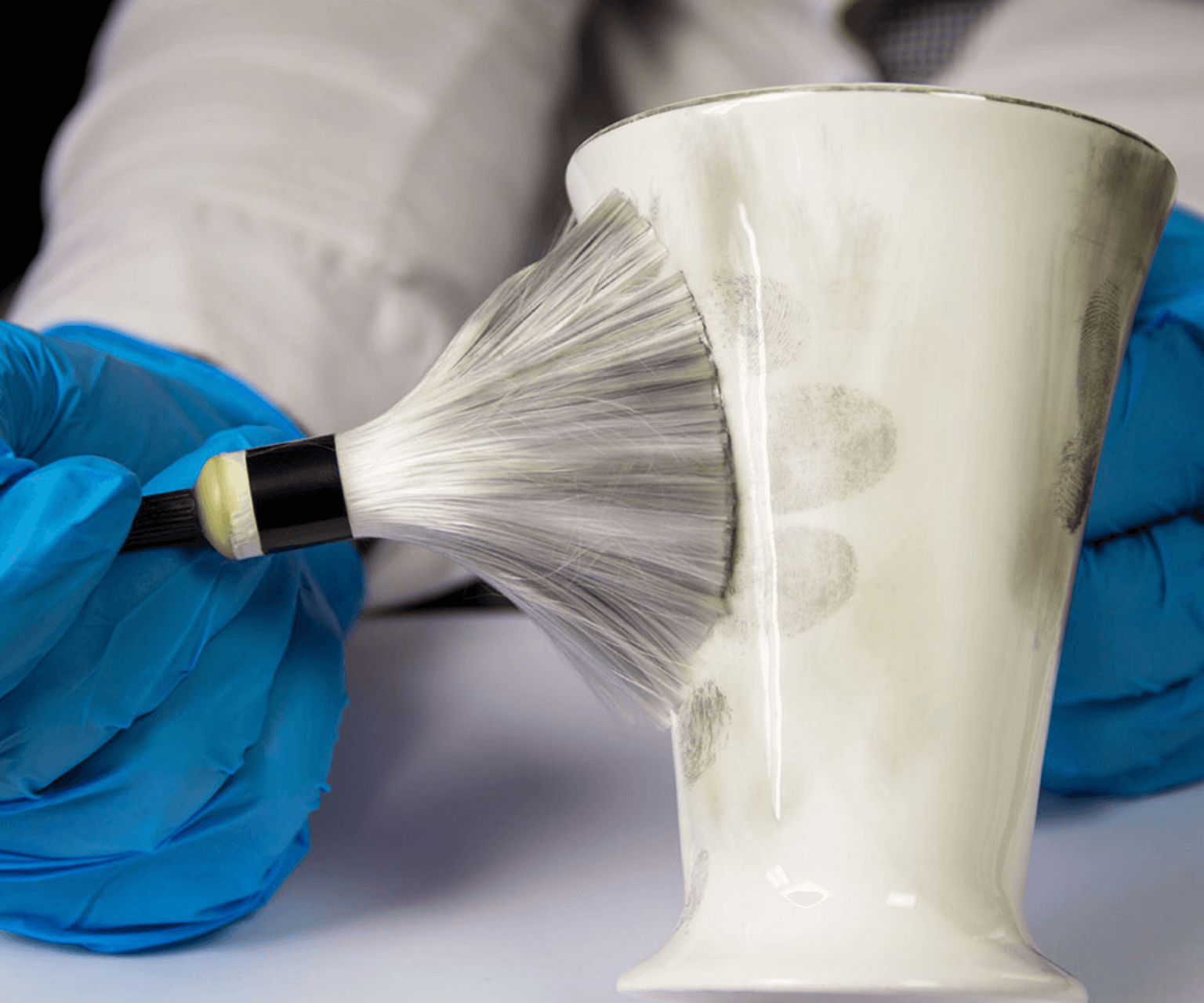 Fingerprint Cleanup Service SteriClean