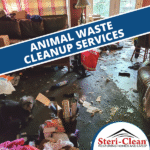 palmdale animal waste cleanup